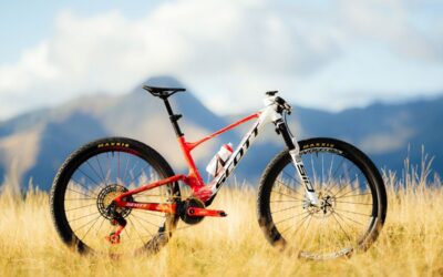 A Crown For A King – Spark RC X N1NO